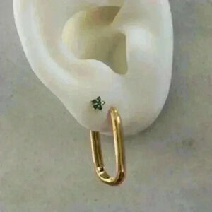 Bella Oval Gold Oval Hoop Earrings Brand New